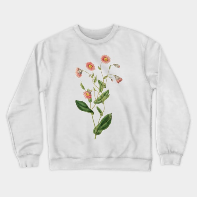 Delicate pink botanical Crewneck Sweatshirt by chris@christinearnold.com